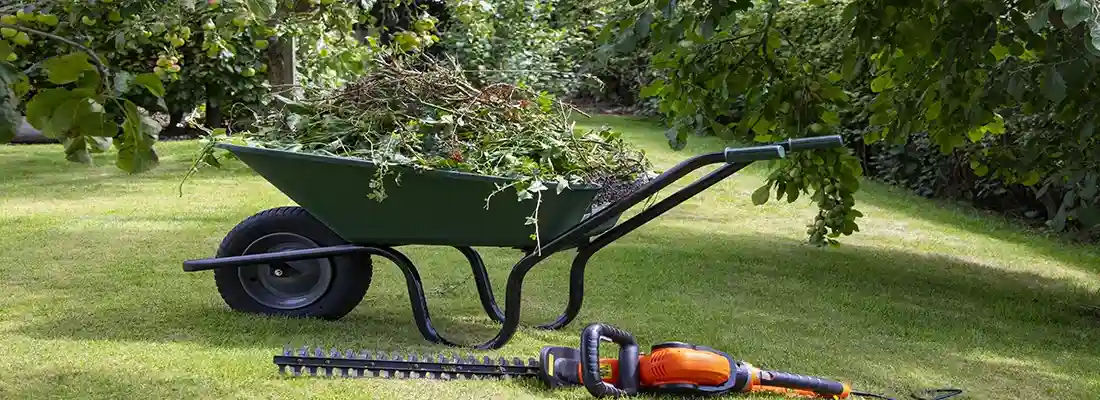 Entretien des espaces verts à Genève 1209