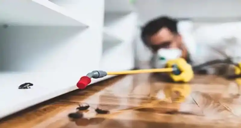 Désinsectisation Romanel-sur-Lausanne