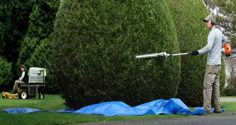 Entretien des espaces verts à Viège 3930